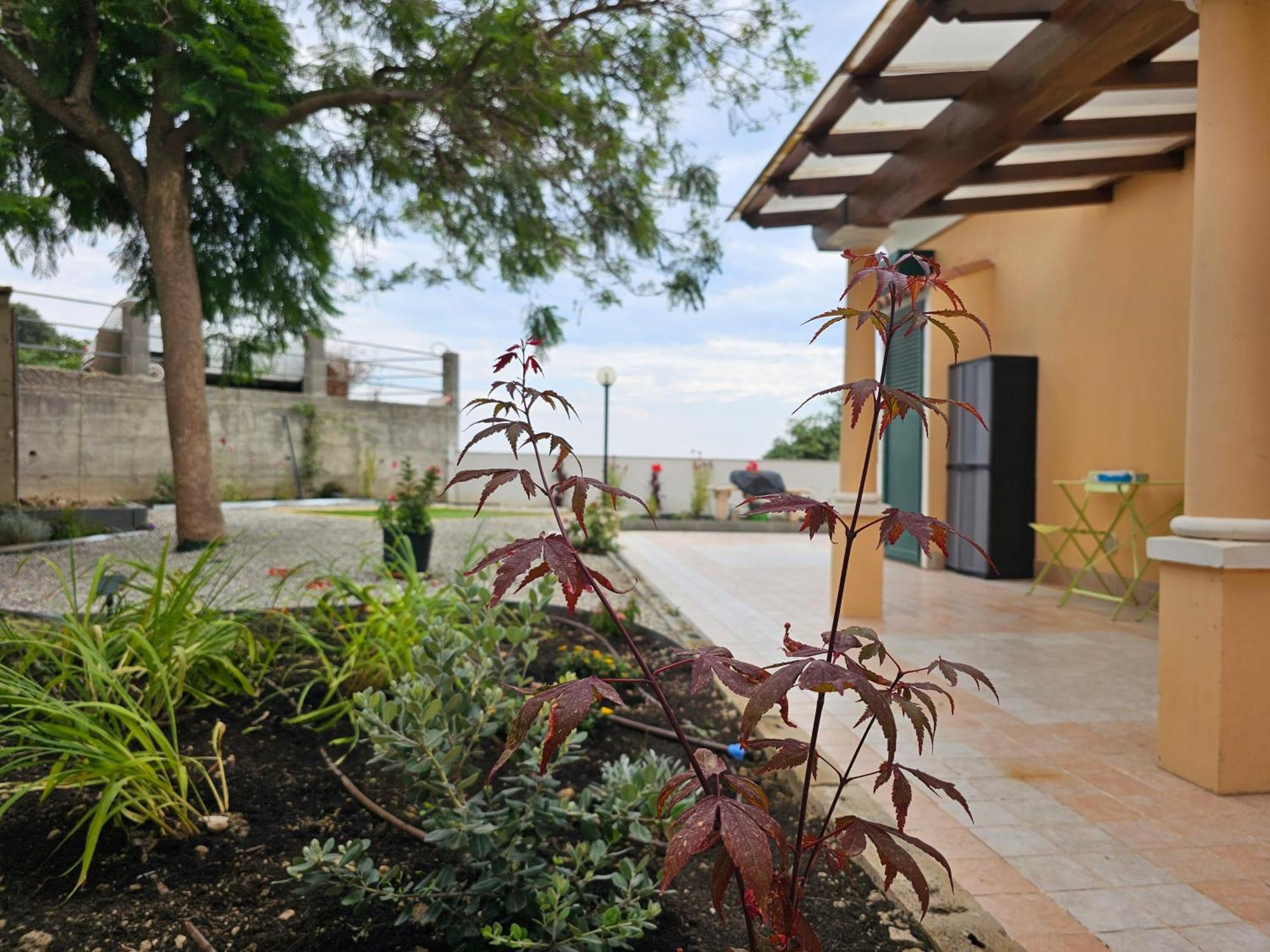 Avocado Villa Ventimiglia Ngoại thất bức ảnh